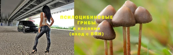 спиды Осташков